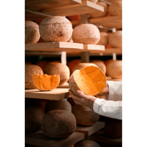 Mimolette 12 Months  thumbnail 4