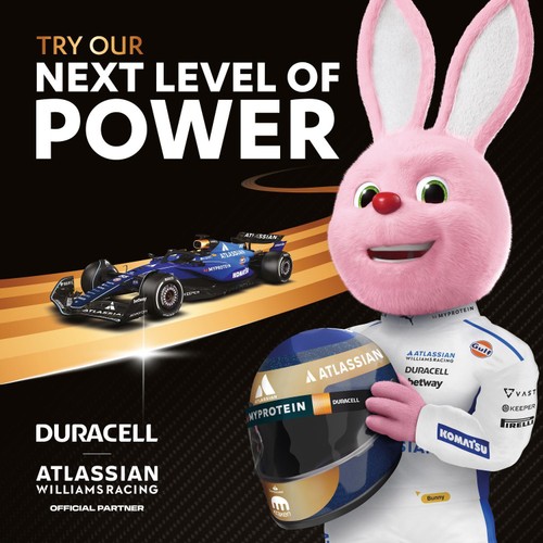 Duracell Plus PBA AA Batteries  thumbnail 5