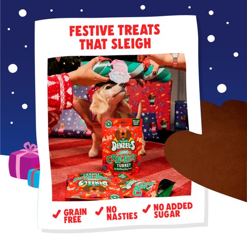 Denzel's Crimbo Crackers Turkey & Stuffings Dog Treats  thumbnail 3