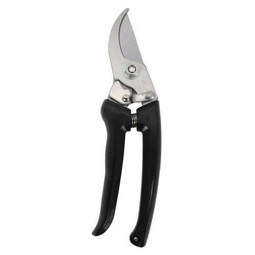 Nutmeg Bypass Pruner
