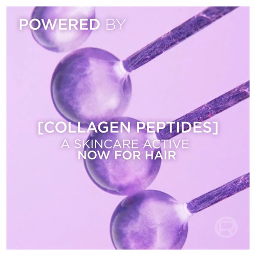 L'Oreal Elvive Collagen + Lifter Fibre-Densifying Conditioner thumbnail 3