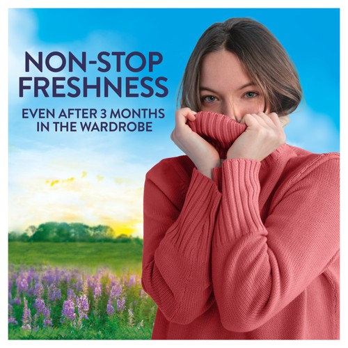 Lenor In-Wash Scent Booster First Day Of Spring  thumbnail 3