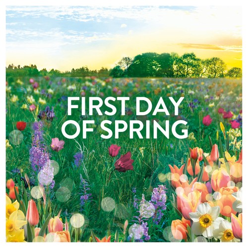 Lenor In-Wash Scent Booster First Day Of Spring  thumbnail 4