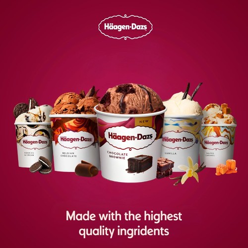 Haagen-Dazs Chocolate Brownie Ice Cream thumbnail 2