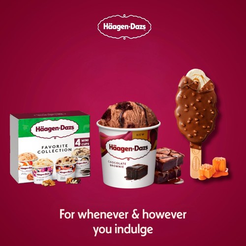 Haagen-Dazs Chocolate Brownie Ice Cream thumbnail 4