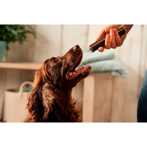 Forthglade Dog Dental Calming Sticks  thumbnail 4