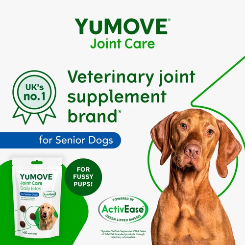 Yumove Joint Care Bites For Senior Dogs 60pk thumbnail 4