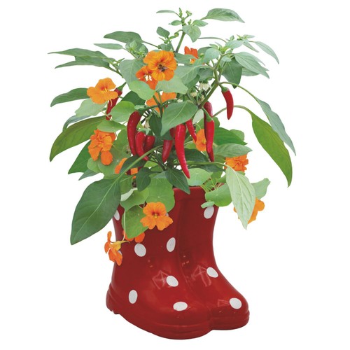 Bee Friends Companion Welly Boot Chilli thumbnail 2