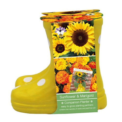 Bee Friends Companion Welly Boot Marigold & Sunflower