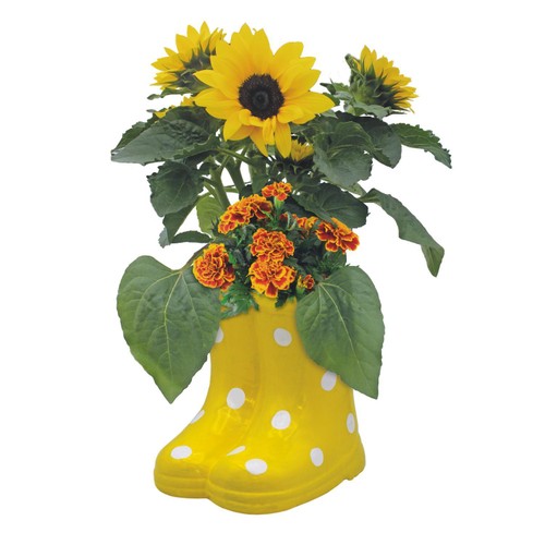 Bee Friends Companion Welly Boot Marigold & Sunflower thumbnail 2