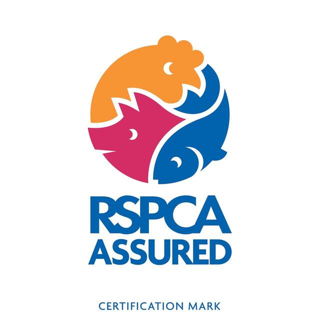 Black Farmer Large Golden Yolk Free Range Eggs thumbnail 2