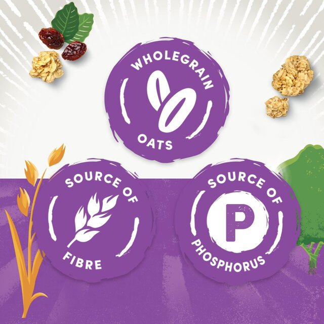 Jordans Country Crisp Flame Raisins Breakfast Cereal thumbnail 4