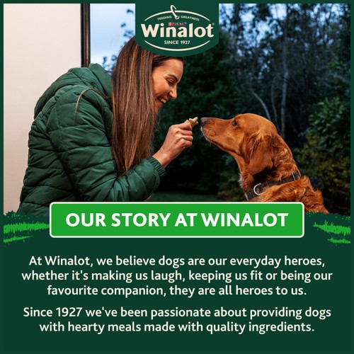 Winalot Shapes Dog Biscuits thumbnail 8
