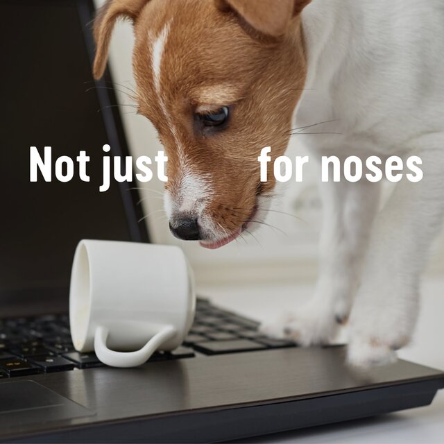 Kleenex The Original Tissues Twin Box thumbnail 3