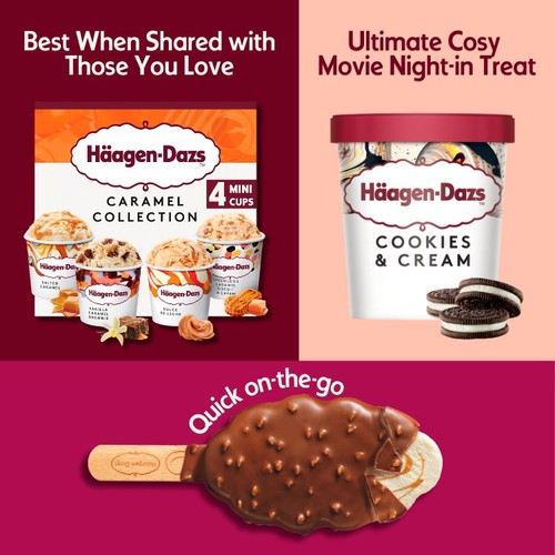 Haagen-Dazs Cookies & Cream Ice Cream thumbnail 5