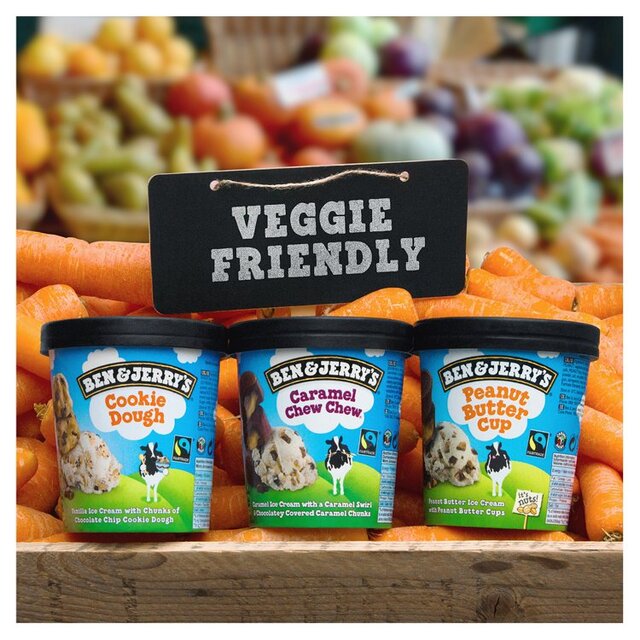 Ben & Jerry's Peanut Butter Cup Ice Cream Tub thumbnail 5