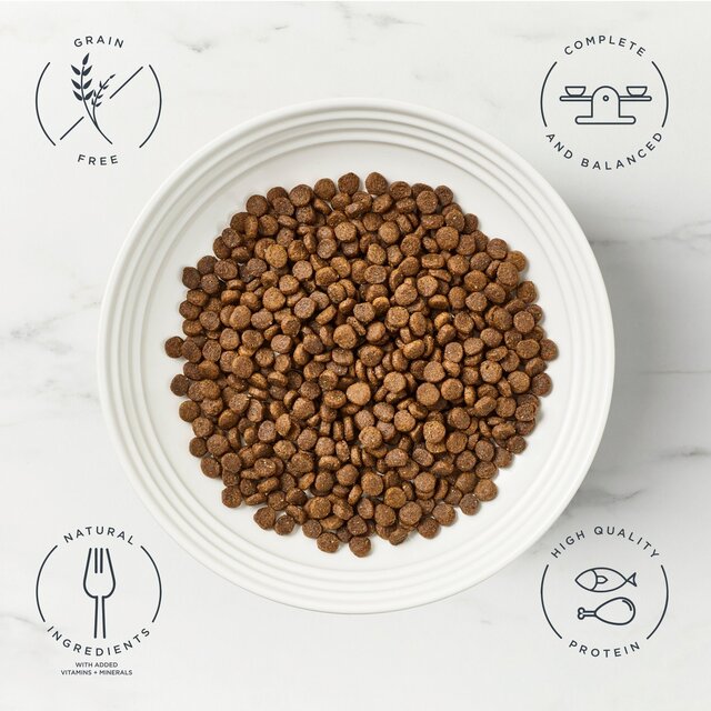 Encore Cat Chicken with Salmon Dry Food thumbnail 2