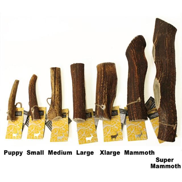 Green & Wilds Premium Original Antler Chew, Medium Dog Treat thumbnail 2