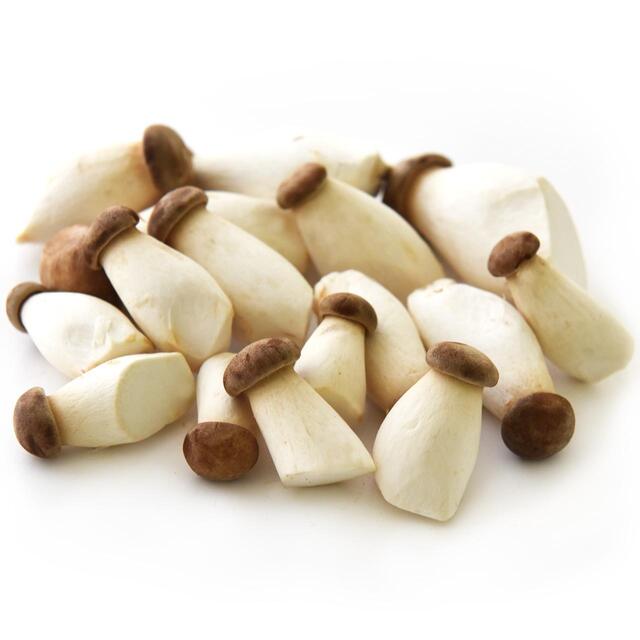 Natoora Baby King Oyster Mushrooms