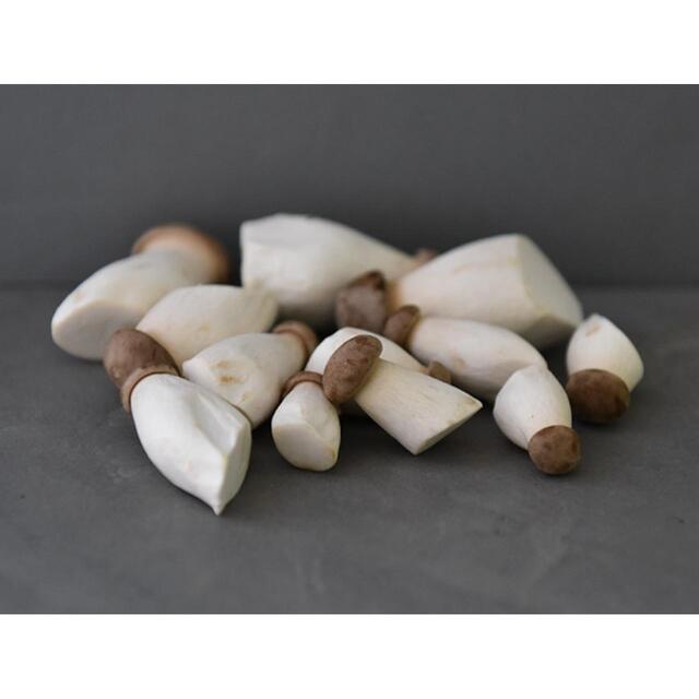 Natoora Baby King Oyster Mushrooms thumbnail 2