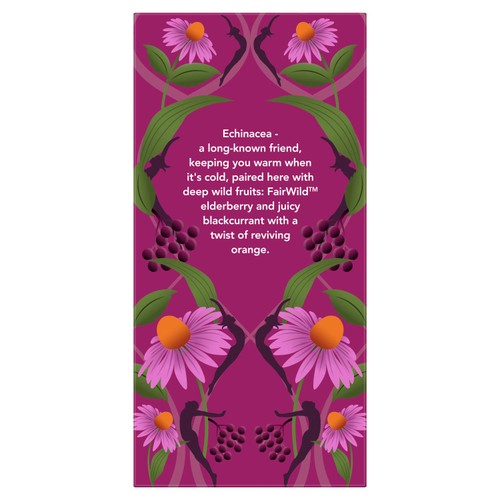 Pukka Organic Elderberry & Echinacea Fruit Tea x20 Compostable Tea Bags thumbnail 3