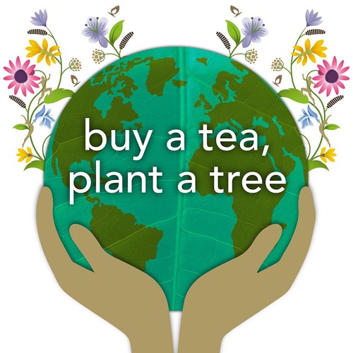 Pukka Organic Elderberry & Echinacea Fruit Tea x20 Compostable Tea Bags thumbnail 5