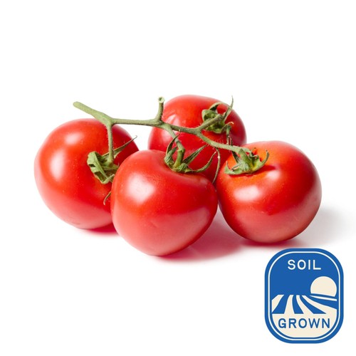 Natoora Sicilian Vine Ripened Tomatoes