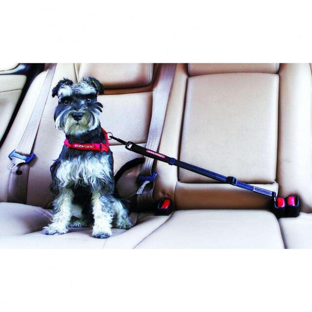 EzyDog Click-In Adjustable Dog Car Seatbelt Attachment thumbnail 2