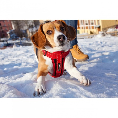 EzyDog Chest Plate Blue Dog Harness Small thumbnail 3