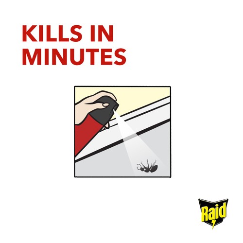 Raid Ant & Cockroach Killer thumbnail 5