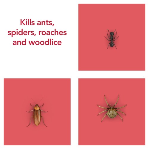Raid Ant & Cockroach Killer thumbnail 6