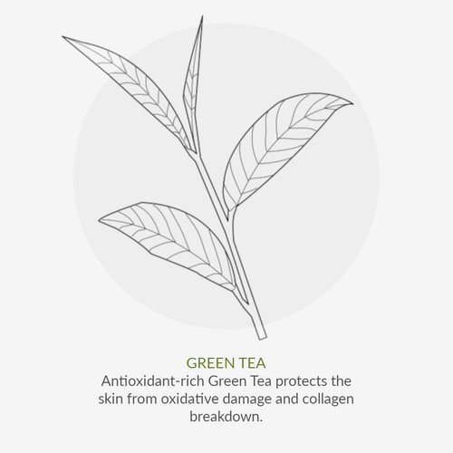 Green People Organic Hydrate & Renew Serum, Age Defy+ by Cha Vohtz, Vegan thumbnail 8