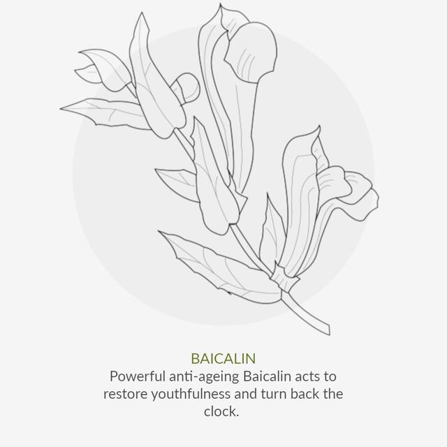 Green People Organic Hydrate & Renew Serum, Age Defy+ by Cha Vohtz, Vegan thumbnail 10