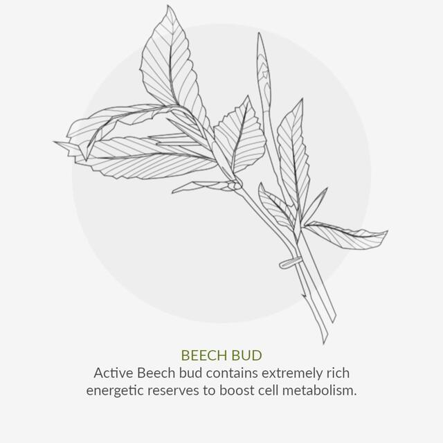 Green People Brightening Moisturiser, Age Defy+ By Cha Vohtz, Vegan thumbnail 9