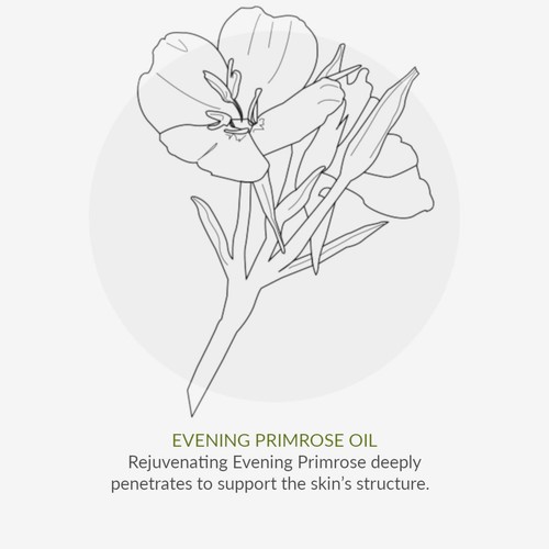 Green People Organic Facial Oil, Cell Enrich Age Defy+ by Cha Vohtz, Vegan thumbnail 8