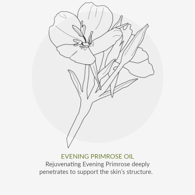 Green People Organic Facial Oil, Cell Enrich Age Defy+ by Cha Vohtz, Vegan thumbnail 8