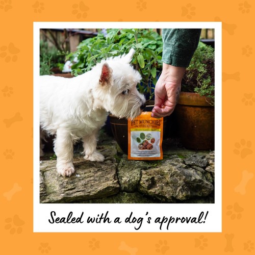 Pet Munchies Chicken Dog Training Dog Treats thumbnail 6