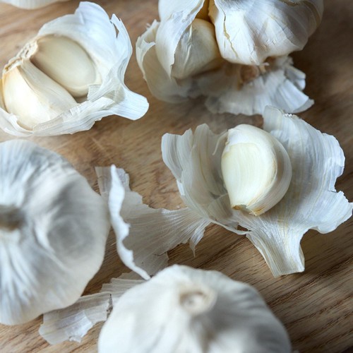 Natoora Large Spanish Garlic thumbnail 3