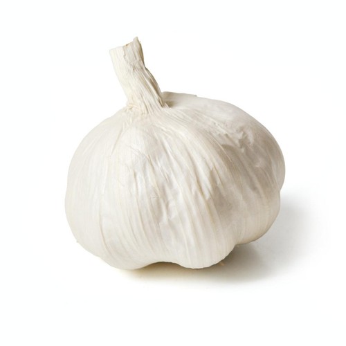 Natoora Large Spanish Garlic