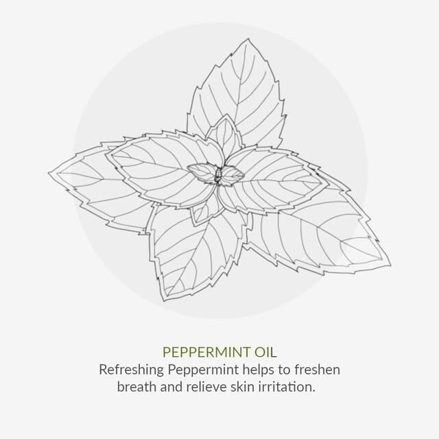 Organic Children Spearmint & Aloe Vera Fluoride Free Toothpaste thumbnail 7