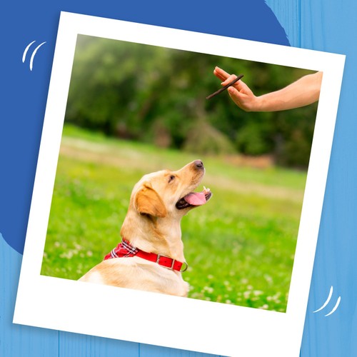 Bakers Rewards Dog Treat Mixed Variety thumbnail 4
