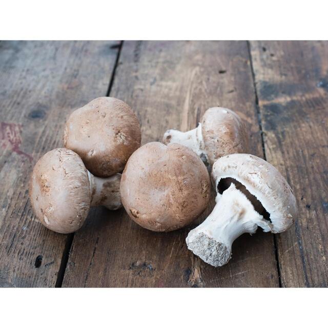 Natoora Cave Grown Brown Paris Mushrooms thumbnail 2