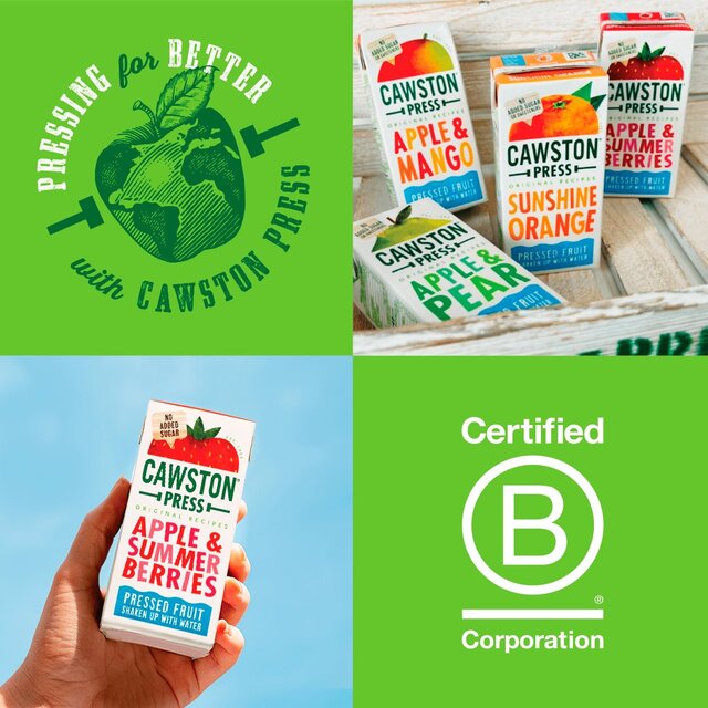 Cawston Press Apple & Summer Berries Juice thumbnail 4