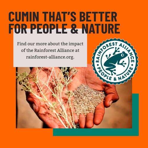 Bart Cumin Seeds thumbnail 3