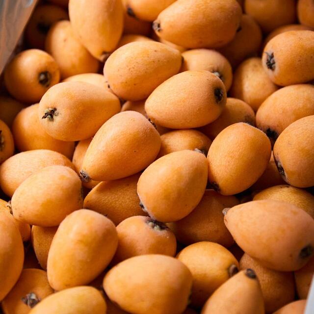 Natoora Fresh Spanish Loquats thumbnail 2