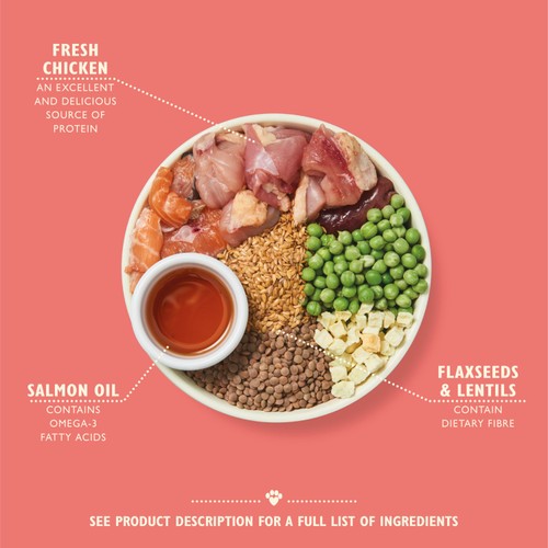 Lily's Kitchen Dog Chicken & Salmon Puppy Recipe Dry Food thumbnail 6