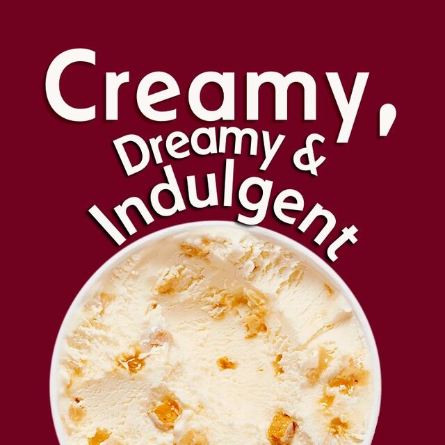 Haagen-Dazs Macadamia Nut Brittle Ice Cream thumbnail 3