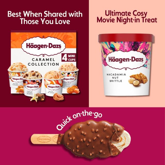 Haagen-Dazs Macadamia Nut Brittle Ice Cream thumbnail 4