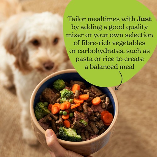 Forthglade Complementary Grain Free Wet Dog Food Just 90% Beef thumbnail 5