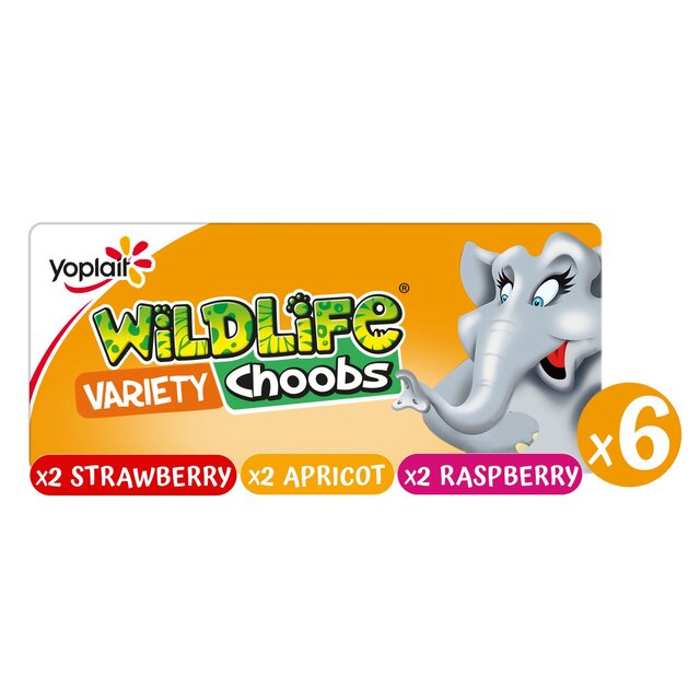 Wildlife Choobs Kids Strawberry Raspberry & Apricot Yoghurt Tubes
